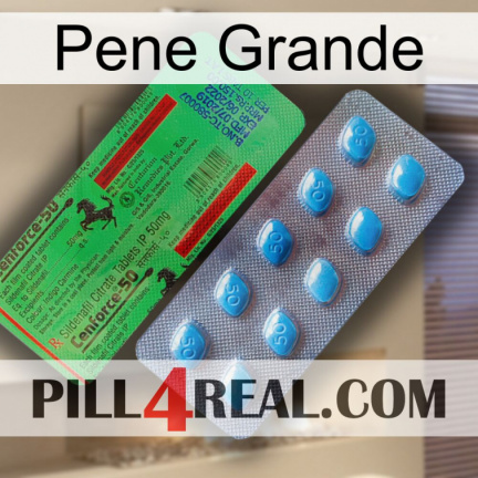 Big Penis new03